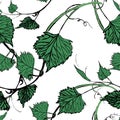 Seamless Wallpaper. Grapevine seamless pattern Royalty Free Stock Photo