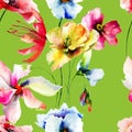 Seamless wallpaper with Original flowers watercolor illustration Royalty Free Stock Photo