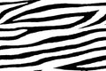 Seamless wallpaper for zebra and tiger stripes animal skin pattern. Black and white design for textile Royalty Free Stock Photo