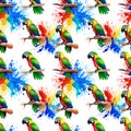 Seamless water color parrot pattern. Repeat pattern. Royalty Free Stock Photo
