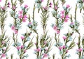 Seamless watercolor background of pink and blue wax flowers with