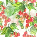 Seamless watercolor background with red currant