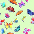 Seamless watercolor butterfly pattern on light green background Royalty Free Stock Photo