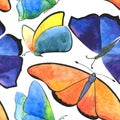 Seamless watercolor butterfly pattern on white background Royalty Free Stock Photo