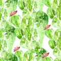 Seamless watercolor cactus pattern, vector