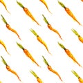 Seamless watercolor carrots vector background