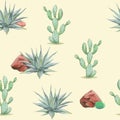 Seamless watercolor desert pattern with cactus agave, rock, grass, bush