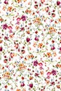 Seamless watercolor floral pattern with colorful flowers and leaves. The elegant template for fashion prints. Modern floral on whi Royalty Free Stock Photo