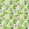 Seamless watercolor floral pattern. Cute watercolor hand painted flowers Jasmine.