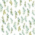 Seamless watercolor floral pattern with green leaves and branches composition on white background