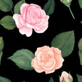 Seamless watercolor floral pattern - pink blush flowers elements, green leaves branches on black background. for Royalty Free Stock Photo