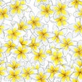 Seamless watercolor flower pattern. Plumeria floral pattern.