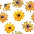 Seamless watercolor texture of Rudbeckia flowers. Watercolor illustration. Flowers for design.
