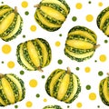 Seamless Watercolor Hand Drawn Pattern On Green Yellow Polka Dot Background Ripe Organic Bright Pumpkin Squashes. For