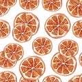 Seamless watercolor hand drawn pattern with tropical dried orange fruit slices for mulled wine healthy organic sweet winter food c Royalty Free Stock Photo