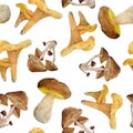 Seamless watercolor hand drawn pattern with wild mushroom fungi. King bolete, porcini, cep, chanterelle, webcaps, honey