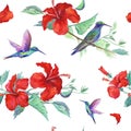 Seamless watercolor hummingbird and hibiscus pattern on white background