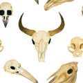 Seamless watercolor illustration. Skull of a bull, skull of a cat, skull of a crow, skull of a horse