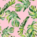 Seamless watercolor illustration of tropical leaves, dense jungle. Royalty Free Stock Photo