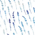 Seamless watercolor lavender pattern Royalty Free Stock Photo