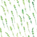 Seamless watercolor lavender pattern Royalty Free Stock Photo