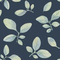 Seamless watercolor leaves pattern. Floral pattern for design on a blue background. Floral background. Painted leaves for packagin