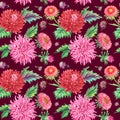 Seamless watercolor pattern of asters on a burgundy background.