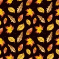 Seamless watercolor pattern of autumn leaves oak, maple, elm