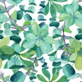 Seamless watercolor pattern of baby blue eucalyptus Royalty Free Stock Photo