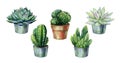 Seamless watercolor pattern with cactus and succulents in pots.