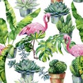 Seamless watercolor pattern with flamingo and cactus and succulents in pots.