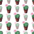 Seamless watercolor pattern of cactuses in brown pots on a white background. Blooming Royalty Free Stock Photo