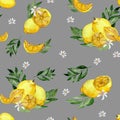 Seamless watercolor pattern with citrus. Slices of lemon, orange and green leaves Royalty Free Stock Photo