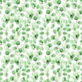 Seamless watercolor pattern with eucalyptus leaves on a white background. vintage pattern with green tropical eucalyptus leaves. d Royalty Free Stock Photo