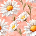 Seamless watercolor pattern featuring delicate daisies on a soft pink background. Royalty Free Stock Photo