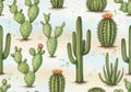Seamless watercolor pattern featuring various cacti, including saguaro (Carnegiea Royalty Free Stock Photo