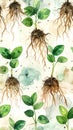 Watercolor Pattern of Basil Seedlings with Visible Roots Royalty Free Stock Photo