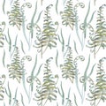 Seamless watercolor pattern with fern and grass on a white background. Hand drawn.