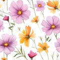 Seamless watercolor pattern with floral plants Cosmos. Vector Illustration