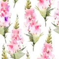 Seamless watercolor pattern with floral plants foxglove Digitali.repeatable