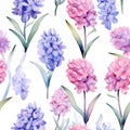 Seamless watercolor pattern with floral plants Hyacinth. Vector Illustration