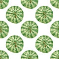 Seamless watercolor pattern with green watermelons. Summer background with watermelone berries for textile and decor
