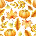 Seamless watercolor pattern with hand drawn autumn branches, leaves and pumpkins isolated on white background. Botanical Royalty Free Stock Photo