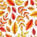 Seamless watercolor pattern with hand drawn autumn leaves and branches isolated on white background. Botanical illustration for Royalty Free Stock Photo