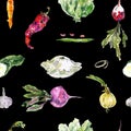 Seamless watercolor pattern with Hand drawn vegetables. Beetroot, radish, carrot, beans, peas, pod, artichoke, chili