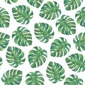 Seamless watercolor pattern with leaves.