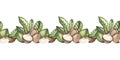 Seamless watercolor pattern of macadamia nuts with green leaves. The frame is made of ripe nuts. Seamless pattern Royalty Free Stock Photo