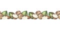 Seamless watercolor pattern of macadamia nuts with green leaves. The frame is made of ripe nuts. Seamless pattern Royalty Free Stock Photo