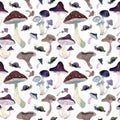 Seamless watercolor vintage pattern of mushrooms on blue background