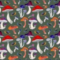 Seamless watercolor pattern of mushrooms on green background Royalty Free Stock Photo